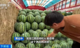 718吃瓜网官网传送,带你领略网络娱乐新风向