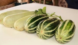 吃瓜网红音乐叫什么,揭秘“吃瓜网红”背后的热门音乐